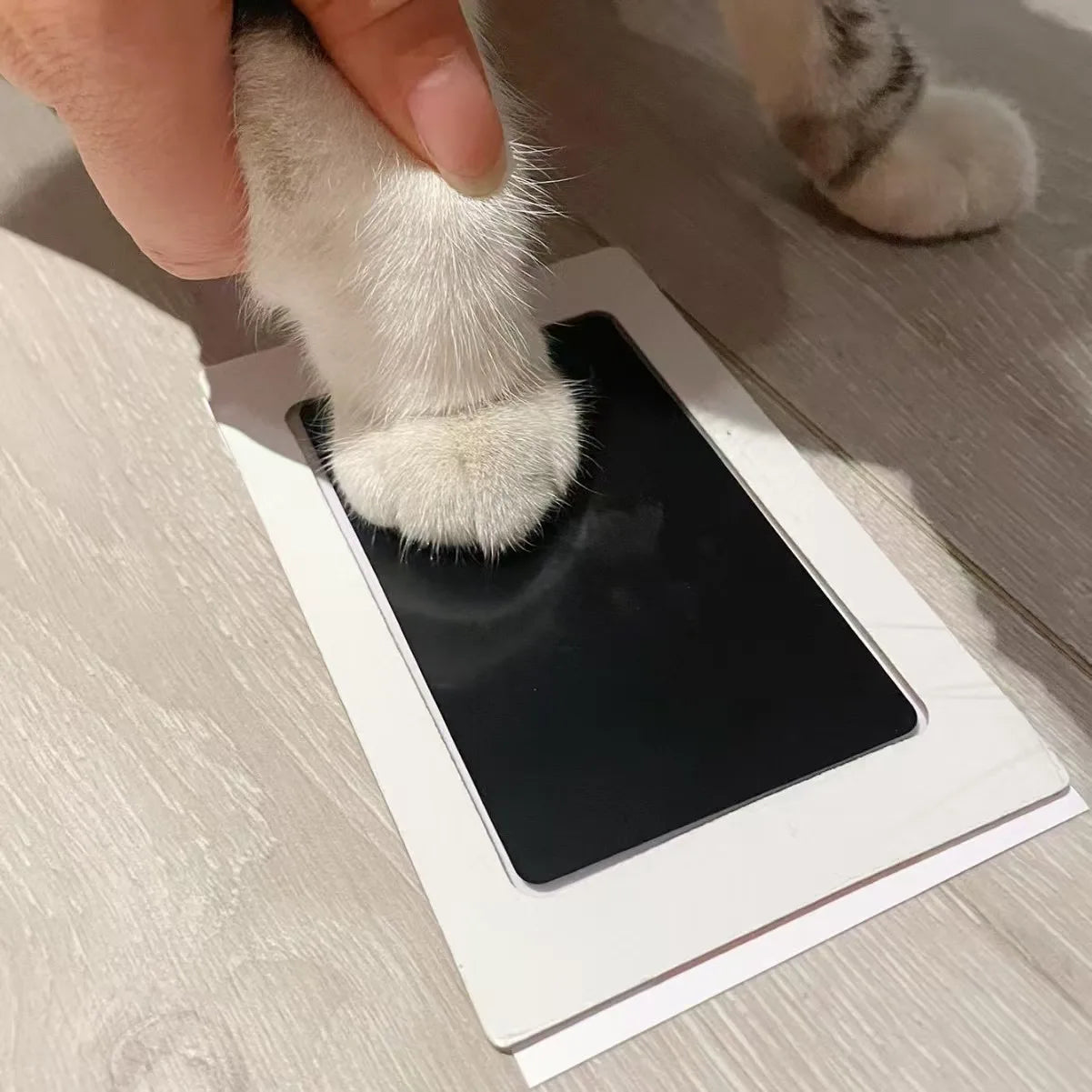 Baby Handprint and Footprint Ink Pad Set - Safe, Non-Toxic, Inkless Kits for Pet Paw Prints and Souvenirs